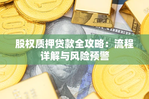 武汉股权质押贷款全攻略：流程详解与风险预警