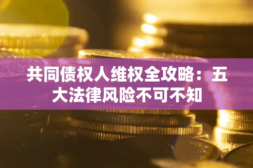 武汉共同债权人维权全攻略：五大法律风险不可不知