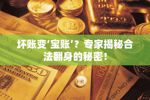 武汉坏账变‘宝账’？专家揭秘合法翻身的秘密！