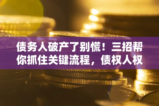 武汉债务人破产了别慌！三招帮你抓住关键流程，债权人权益不再缩水