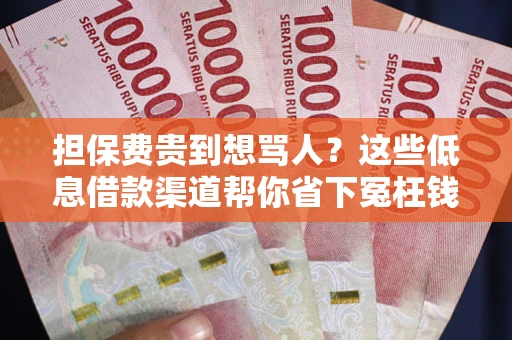 武汉担保费贵到想骂人？这些低息借款渠道帮你省下冤枉钱