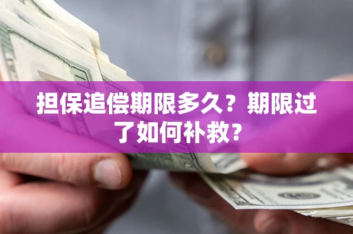 武汉担保追偿期限多久？期限过了如何补救？