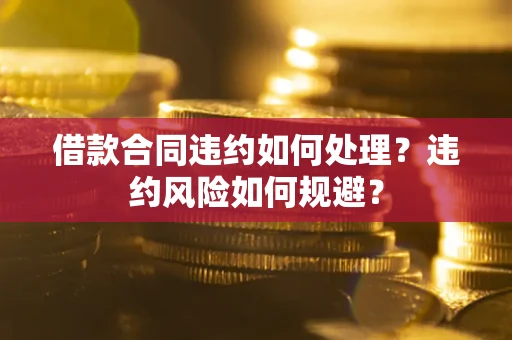 武汉借款合同违约如何处理？违约风险如何规避？