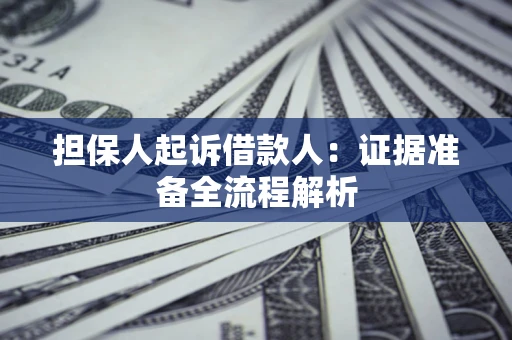 武汉担保人起诉借款人：证据准备全流程解析