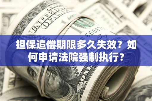 武汉担保追偿期限多久失效？如何申请法院强制执行？