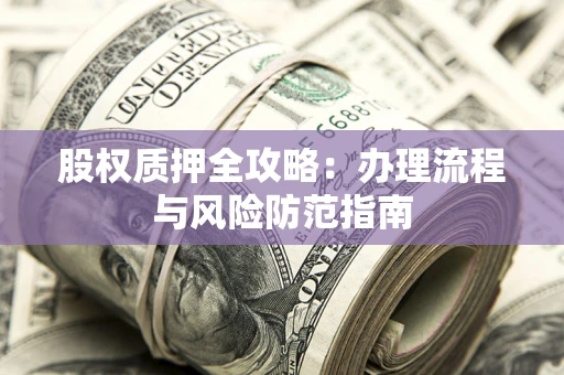 武汉股权质押全攻略：办理流程与风险防范指南