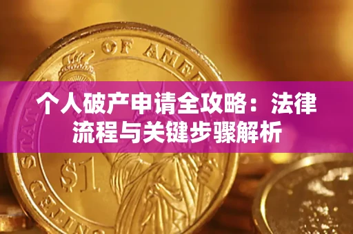 武汉个人破产申请全攻略：法律流程与关键步骤解析
