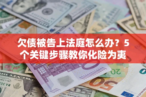 武汉欠债被告上法庭怎么办？5个关键步骤教你化险为夷